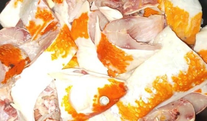 Cô gái cắt khúc cá Koi và chế biến thành món súp giống như các loài cá thông thường.